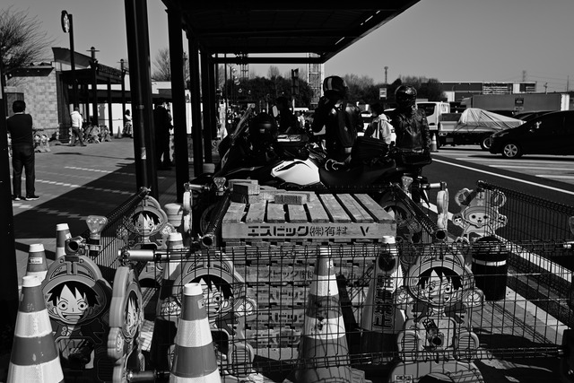 DSC_0051_28_カーボン