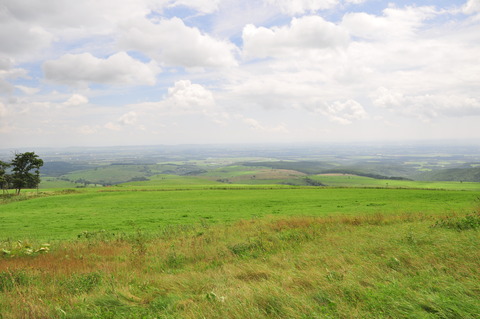 DSC_0038