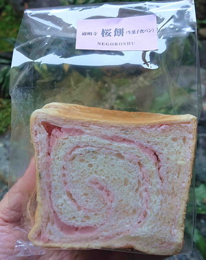 220405根来衆桜さくら