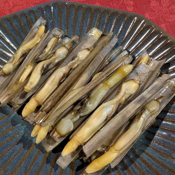 241219マテ貝