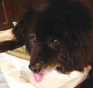 210921Ĺ����10