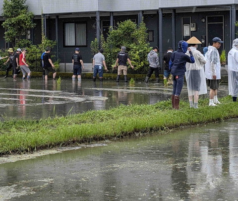 240623田植え5