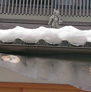 230130大雪の5日後