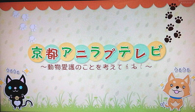 210921Ĺ����1