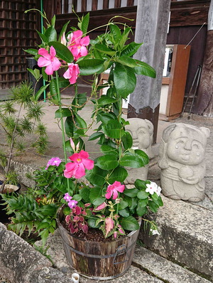 210808ゑんま堂2
