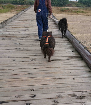 201108ή�춶6