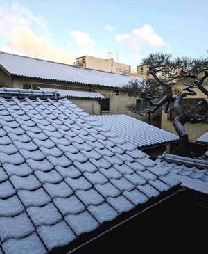 240125ちょっと積もった