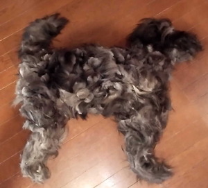 150705�ॵ��ȱ9