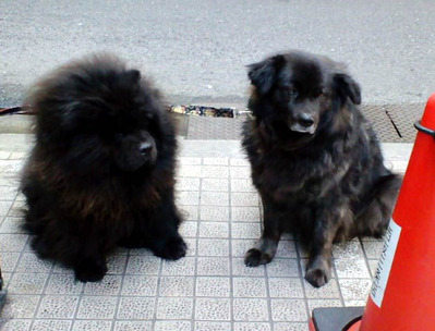 120406�����Ӥ줿��
