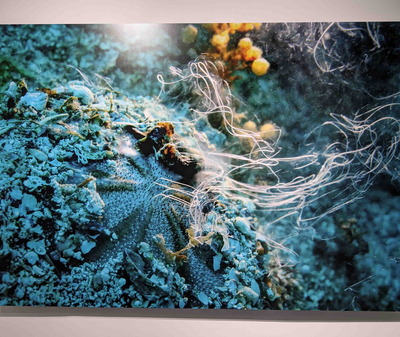 250524中村征夫展6