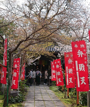 220409伏見5