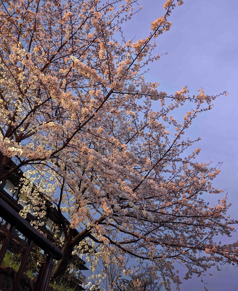 240406����ָ�3