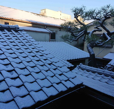 211227�鴧��1