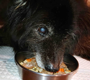 210921��������2