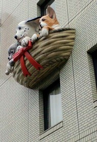 090530ŷ����΢1