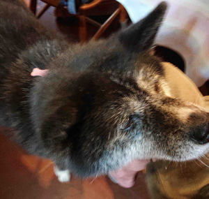 210816���Ĥ��ӥ����å�