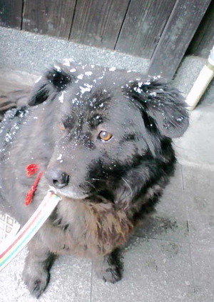 140214大雪6