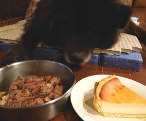 220122�ॵ12��ǯ1