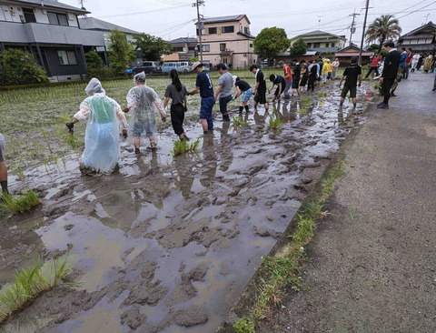 240623田植え7