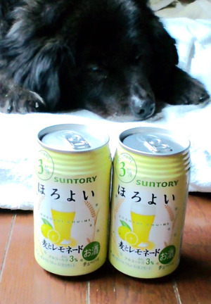 130329ほろよい1
