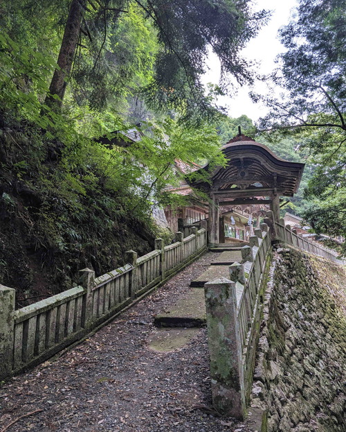 260814穴門山5