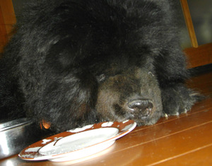 130122�ॵ2��ǯ11