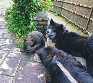 190504�쳤9