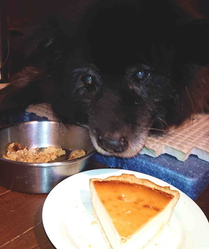 220122�ॵ12��ǯ8