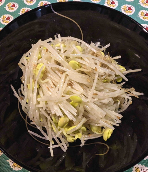 241116大鰐もやし3