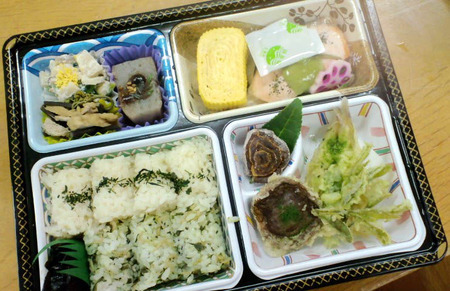 110508茶摘み11