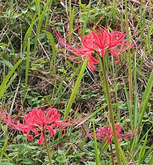 201004綾部後半8