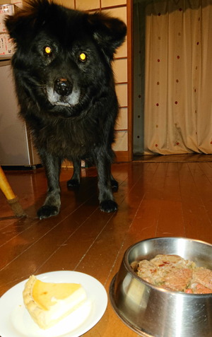 190122�ॵ8��ǯ1