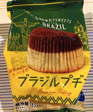 230725ブラジルプヂン1