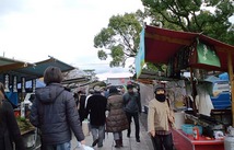 100121�鹰ˡ1