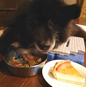 220122�ॵ12��ǯ5