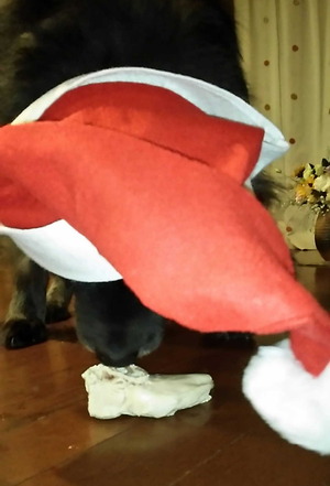 141224�ॵ���ꥹ�ޥ�5