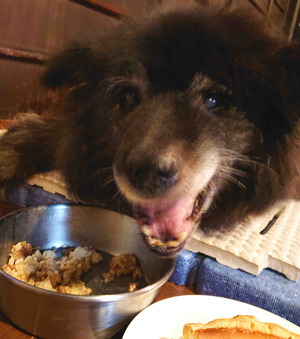 220122�ॵ12��ǯ7