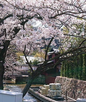 210327桜1