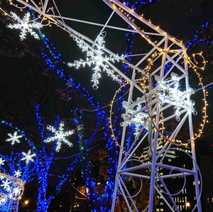 201127��Ʋ�ڥ饤�ȥ��å�6
