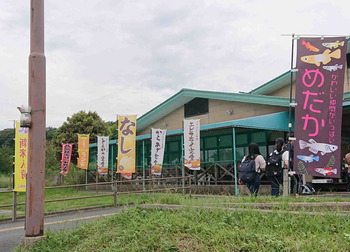 230926京丹後なし21
