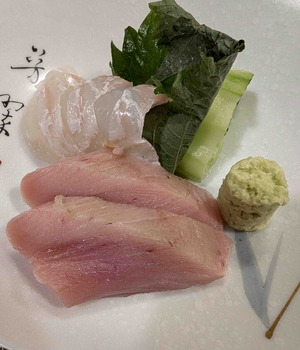 250212てしま3