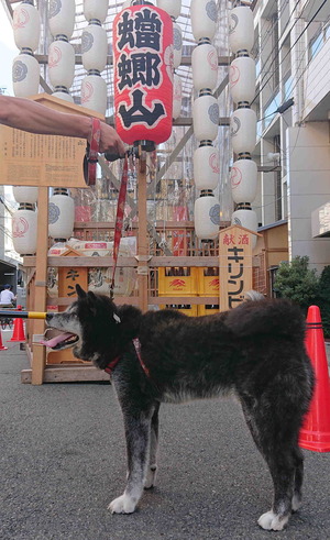230716�����5
