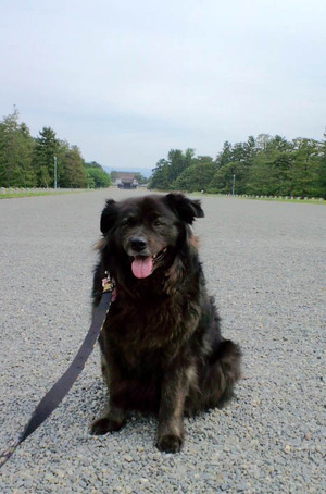 120520�ॵ���11