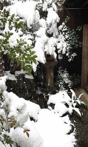 170115大雪2