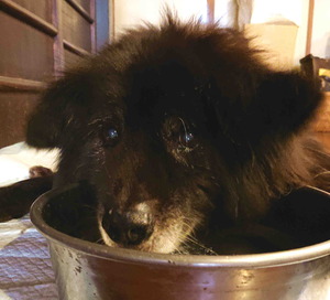 210921Ĺ����8