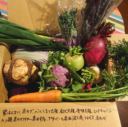 221222ƣ�����९�ꥹ�ޥ�