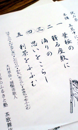 110508茶摘み19