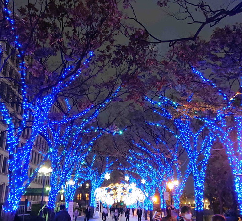 201127��Ʋ�ڥ饤�ȥ��å�5