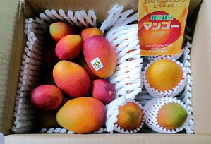 090623�ޥ�1