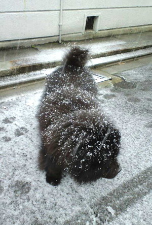 140214大雪2
